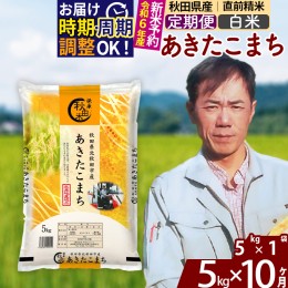 【ふるさと納税】※令和6年産 新米予約※《定期便10ヶ月》秋田県産 あきたこまち 5kg【白米】(5kg小分け袋) 2024年産 お届け周期調整可能