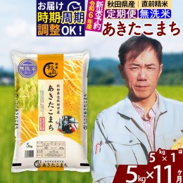 【ふるさと納税】※令和6年産 新米予約※《定期便11ヶ月》秋田県産 あきたこまち 5kg【無洗米】(5kg小分け袋) 2024年産 お届け周期調整可