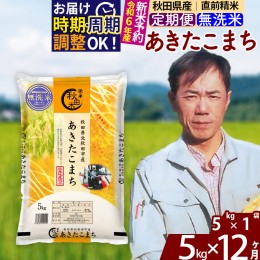 【ふるさと納税】※令和6年産 新米予約※《定期便12ヶ月》秋田県産 あきたこまち 5kg【無洗米】(5kg小分け袋) 2024年産 お届け周期調整可