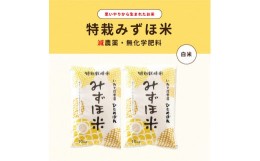 【ふるさと納税】特別栽培みずほ米 ひとめぼれ 白米 20kg（10kg×2袋）　【1752】