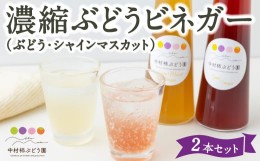 【ふるさと納税】P637-03 中村柿ぶどう園 濃縮ぶどうビネガー2本セット(ぶどう・シャインマスカット)