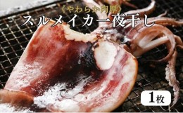 【ふるさと納税】柔らか肉厚の スルメイカ 一夜干し 1枚[ 国産 干物 肴 つまみ イカ ][?5716-0564]