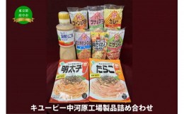 【ふるさと納税】キユーピー中河原工場製品詰め合わせ 