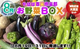 【ふるさと納税】数量限定　矢巾町産　夏野菜セット【10種】8月発送