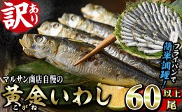 【ふるさと納税】＜訳あり＞黄金いわし (60尾以上) 黄金 いわし イワシ 丸干し 魚 海鮮 冷凍 おつまみ 小分け【GX002】【(有)マルサン商