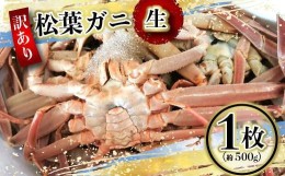 【ふるさと納税】【先行予約】（訳あり）松葉ガニ（生なま） 1枚（約500g）【年内配送】※着日指定不可※北海道、沖縄、一部離島への配送