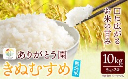 【ふるさと納税】146. 令和5年産 米 岡山県産 きぬむすめ 無洗米 10kg ありがとう園《30日以内に出荷予定(土日祝除く)》岡山県 矢掛町 無