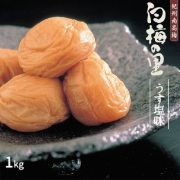 【ふるさと納税】DR6018_特選 紀州南高梅 梅干し「白梅の里」うす塩味 1kg