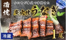 【ふるさと納税】【先行予約】【冷蔵】成田屋 炭火焼うなぎ蒲焼 1尾 【2024年3月1日より順次発送】【鰻 ウナギ 朝〆 逸品 こだわり 国産 