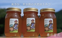 【ふるさと納税】合計1800g 天然蜂蜜 国産蜂蜜 非加熱 生はちみつ 岐阜県 美濃市産 春 (蜂蜜600g入りガラス瓶3本セット)A7