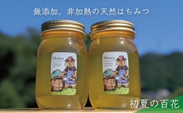 【ふるさと納税】合計1200g 天然蜂蜜 国産蜂蜜 非加熱 生はちみつ 岐阜県 美濃市産 初夏  (蜂蜜600g入りガラス瓶2本セット)B6