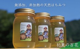 【ふるさと納税】合計1800g 天然蜂蜜 国産蜂蜜 非加熱 生はちみつ 岐阜県 美濃市産 初夏 (蜂蜜600g入りガラス瓶3本セット)B7