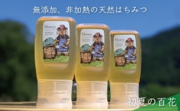 【ふるさと納税】合計900g 天然蜂蜜 国産蜂蜜 非加熱 生はちみつ 岐阜県 美濃市産  初夏 (蜂蜜300g入りピタッとボトル3本セット)B11