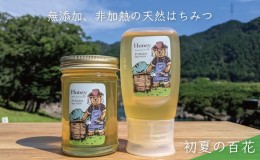 【ふるさと納税】合計530g 天然蜂蜜 国産蜂蜜 非加熱 生はちみつ 岐阜県 美濃市産 初夏 (蜂蜜230g入りガラス瓶1本、蜂蜜300g入りピタッと