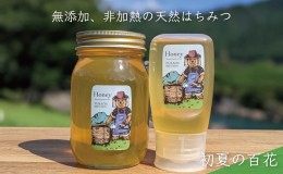 【ふるさと納税】合計900g 天然蜂蜜 国産蜂蜜 非加熱 生はちみつ 岐阜県 美濃市産 初夏 (蜂蜜600g入りガラス瓶1本、蜂蜜300g入りピタッと