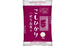 【ふるさと納税】広島県産せら高原のこしひかり５kg×２