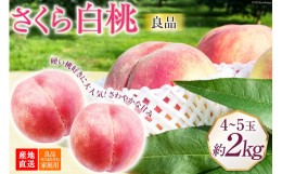 【ふるさと納税】【先行受付】 良品 さくら 白桃 2kg（4？5玉） [韮崎市桃農家の産直 山梨県 韮崎市 20742307] もも モモ 果物 フルーツ 