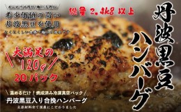 【ふるさと納税】丹波黒豆ハンバーグ　２０パック