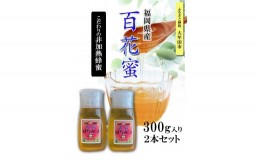 【ふるさと納税】【A-14】福岡県産純粋非加熱蜂蜜【百花蜜】 300g SSCボトル入り ２本セット