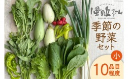 【ふるさと納税】季節の野菜セット小 [ 風の丘ファーム 埼玉県 小川町 205] 野菜 やさい 季節の野菜 野菜セット セット 詰め合わせ 旬 春