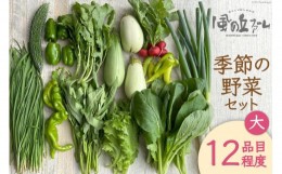 【ふるさと納税】季節の野菜セット大 [ 風の丘ファーム 埼玉県 小川町 206] 野菜 やさい 季節の野菜 野菜セット セット 詰め合わせ 旬 春