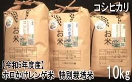 【ふるさと納税】No.1016-01 【令和5年度産】ホロかけレンゲ米　特別栽培米　10kg（コシヒカリ） ／ 無農薬 おこめ コメ 埼玉県