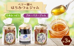 【ふるさと納税】日本みつばちの「ハチミツ」＜非加熱＞とハチミツのみで加糖したブルーベリージャムのセット【1452017】