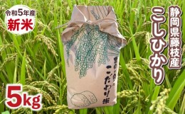 【ふるさと納税】新米 5kg 静岡県 藤枝産 コシヒカリ 米 白米 精米 国産 コメ こめ おこめ お米 人気 令和5年産 静岡県 藤枝市 