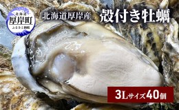 【ふるさと納税】北海道 厚岸産 殻付き 牡蠣 3Lサイズ 40個