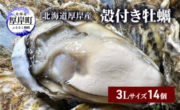 【ふるさと納税】北海道 厚岸産 殻付き 牡蠣 3Lサイズ 14個