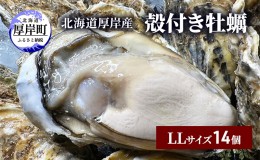【ふるさと納税】北海道 厚岸産 殻付き 牡蠣 LLサイズ 14個