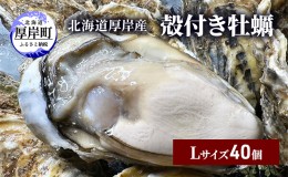 【ふるさと納税】北海道 厚岸産 殻付き 牡蠣 Lサイズ 40個