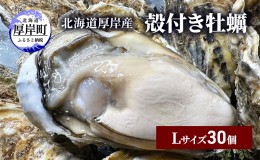 【ふるさと納税】北海道 厚岸産 殻付き 牡蠣 Lサイズ 30個