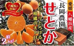 【ふるさと納税】2025年2月中旬発送開始　長岡農園の「せとか」約2kg ＜C39-55＞【1462367】