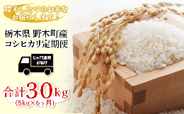 【ふるさと納税】K10 こしひかり 5kg 6ヶ月 連続 お届け 定期便 計 30kg 栃木県産 精米 つきたて