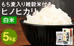 【ふるさと納税】熊本県菊池産 ヒノヒカリ 精米 5kg もち麦入り雑穀米 200g 米 お米 低温保管 残留農薬ゼロ