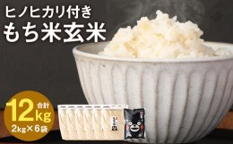 【ふるさと納税】熊本県 菊池産 もち米 玄米 2kg×6袋 白米 300g 計12.3kg ヒヨクモチ