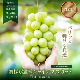 【ふるさと納税】ぶどう 2024年 先行予約 ［ご家庭用］ シャイン マスカット3〜5房（合計2kg以上） ブドウ 葡萄  岡山県産 国産 フルーツ