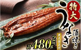 【ふるさと納税】うなぎ蒲焼 2尾 計約480g （タレ・山椒付き） 1尾で約240gのビッグサイズ【6月発送】 鰻 うなぎ うなぎの蒲焼 炭火焼き 