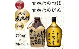 【ふるさと納税】大分むぎ焼酎　二階堂吉四六つぼと吉四六びん25度(720ml)2本セット【1455121】