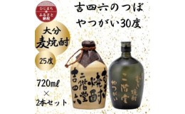 【ふるさと納税】大分むぎ焼酎　二階堂吉四六つぼ25度とやつがい30度(720ml)2本セット【1455221】