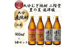 【ふるさと納税】大分むぎ焼酎　二階堂2本と速津媛2本20度(900ml)4本セット【1456979】