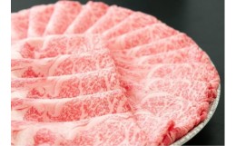 【ふるさと納税】【近江牛 定期便【すきしゃぶ・焼肉食べ比べの会】全5回】肉 牛肉 ブランド牛 三大和牛 和牛 黒毛和牛 贈り物 ギフト プ