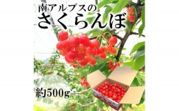 【ふるさと納税】5-84 南アルプス市産　さくらんぼ　500ｇ