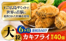 【ふるさと納税】広島G7で提供された牡蠣！【全6回定期便】【広島県産】牡蠣屋さんが作ったこだわりの大粒 カキフライ 40個（瞬間冷凍） 