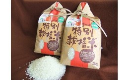 【ふるさと納税】【令和5年産】いちじょう 米 （ 品種 にこまる ） 精米 5kg 熊本県産 お米 白米