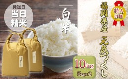 【ふるさと納税】米 10kg 元気つくし 福岡県産 特A評価 お米 5kg×2袋 白米 コメ 福岡県