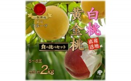 【ふるさと納税】5-113 南アルプス市産　桃と黄金桃の食べ比べセット　約2kg（5〜8玉）