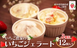 【ふるさと納税】いちご農家の『いちごジェラート ３種』 12個入り 真岡市 栃木県 送料無料