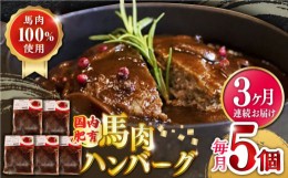 【ふるさと納税】【全3回定期便】国内肥育 冷凍 馬肉ハンバーグ 計1kg ( 200g × 5個 ) デミグラスソース入り 小分け 個包装 惣菜 湯煎 